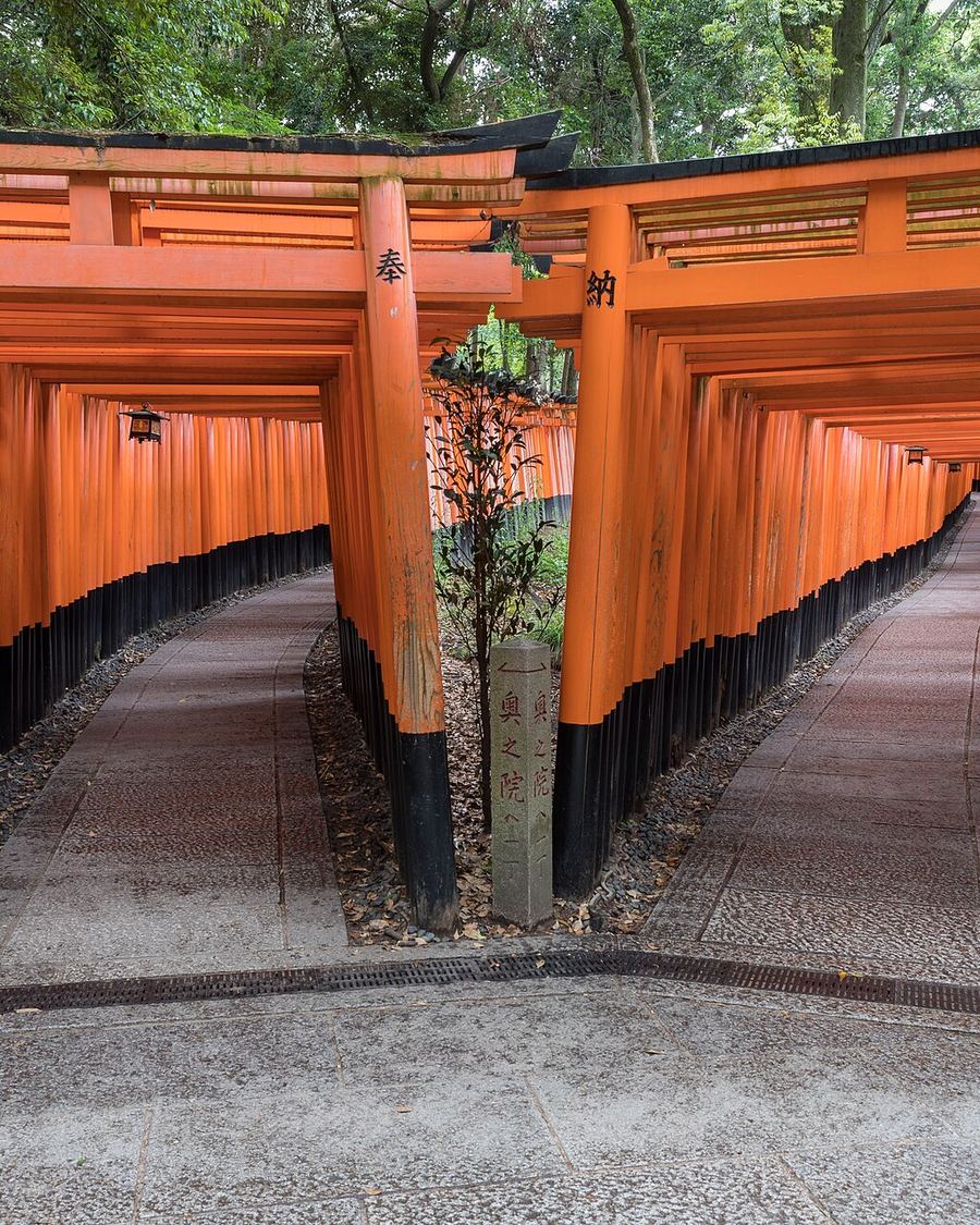 Santuario Fushimi Inari en Kyoto